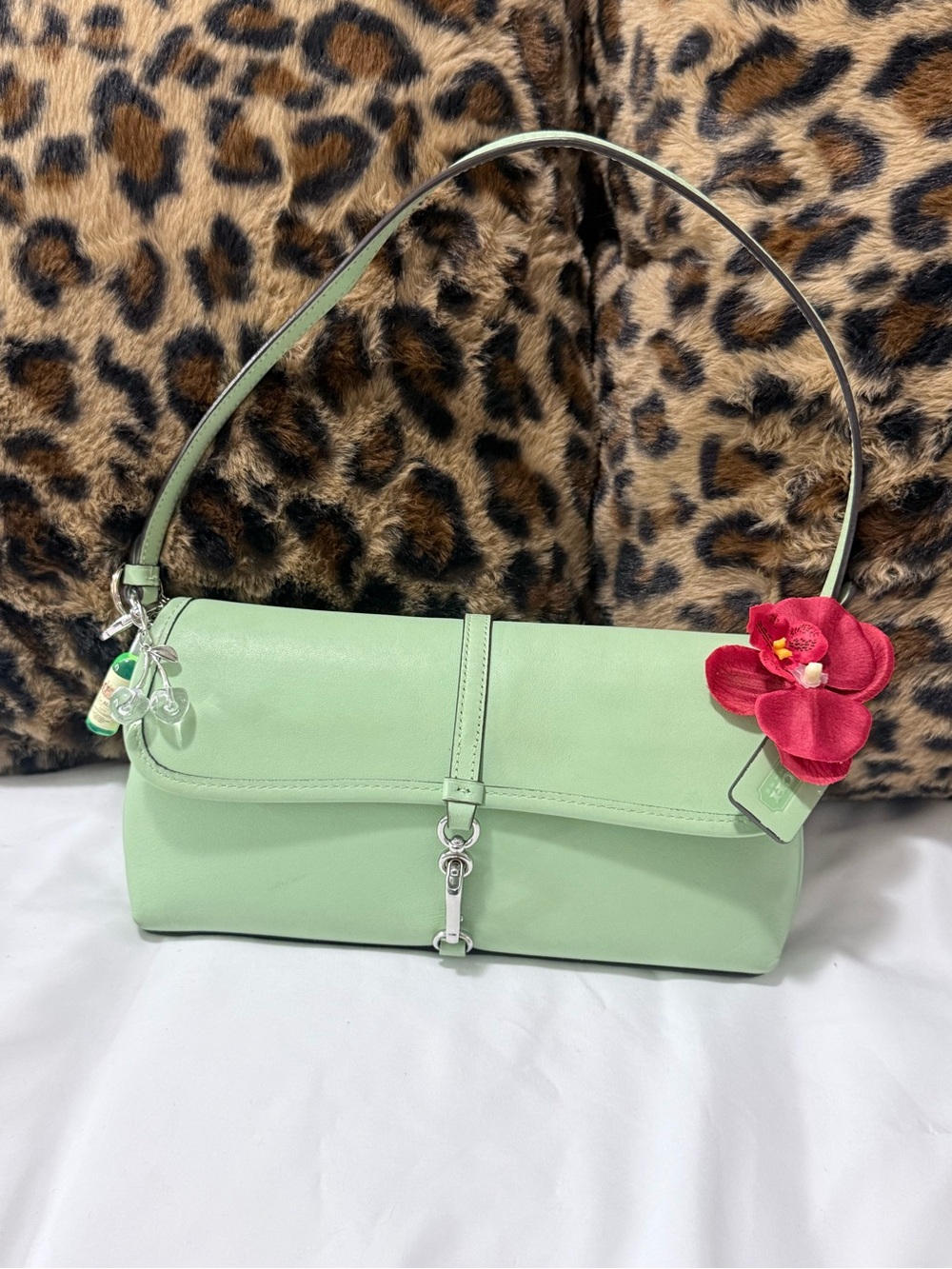 green clip on hampton coach bag